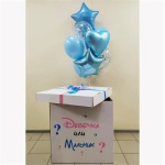 Коробка с шарами "Мальчик или девочка?"